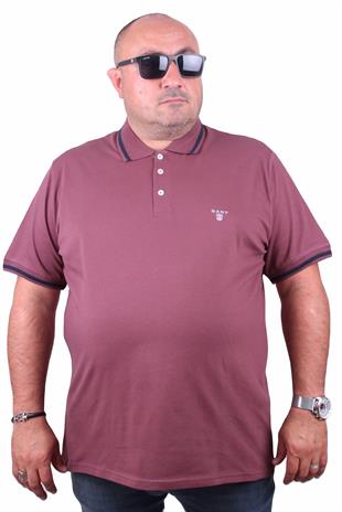 Tişört Polo Yaka GNT 23418 Eflatun