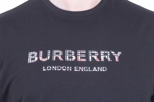 Erkek Büyük Beden Sıfır Yaka Tişört BRBR 26117 SIYAH