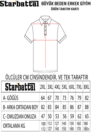 Erkek Büyük Beden Polo Tişört VRS 26405 BEYAZ