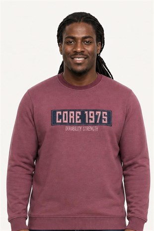 Starbattal Erkek Büyük Beden Sıfır Yaka 3ip Sweat Core 1975 24209 Eflatun