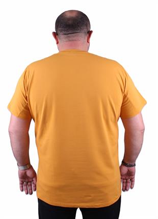 ARM Sıfır Yaka Tişört 23161 HARDAL