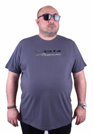 ARM Sıfır Yaka Tişört 23154 FUME