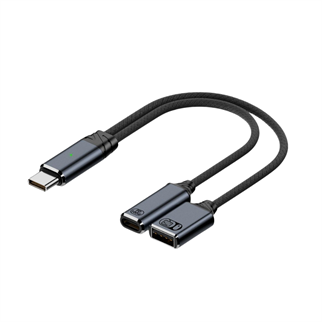 LivX 100W 2 in 1 Type C to USB 2.0 & Type C Hızlı Şarj Çevirici Dönüştürücü OTGCA