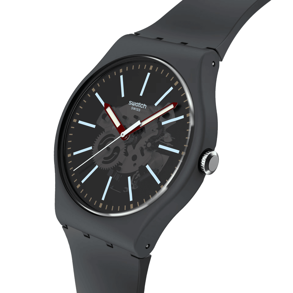 SWATCH SO29A101
