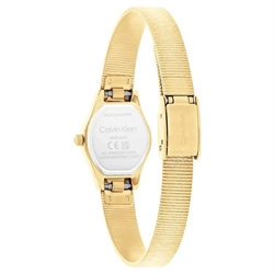 CALVIN KLEIN CK25100193