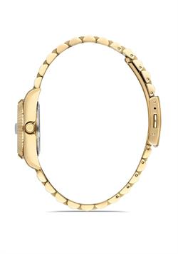 MOMENTUS CW135G-02SG