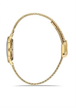 MOMENTUS CW293G-15SG