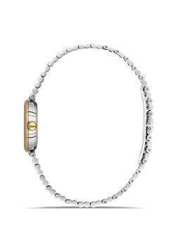 MOMENTUS CW313T-09SG