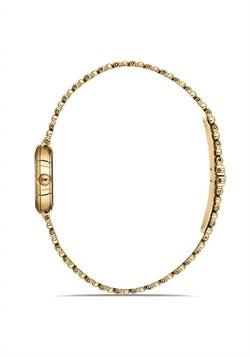 MOMENTUS SS272G-09SG