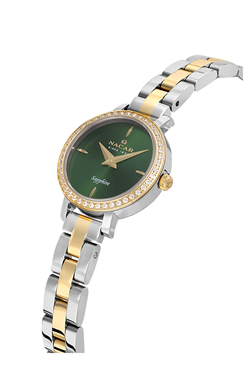 NACAR NC08-39890196-CNMS