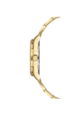 NACAR NC33-398305-DWMS