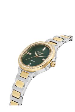 NACAR NC33-398369-CNMS