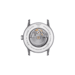 Tissot Luxury Powermatic 80 | Model T0864071104700