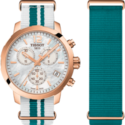 Tissot T-Sport Quickster T0954173711701 Erkek Kol Saati