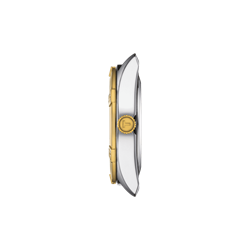 Tissot PR 100 Sport Chic T1019102211100