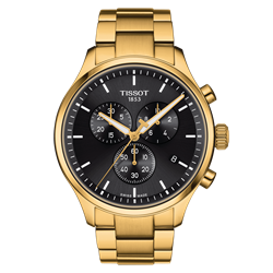 TISSOT T1166173305100