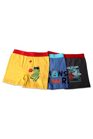 Erkek Çocuk Çok Renkli Boxer 3'lü Paket 