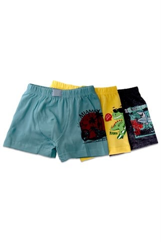 Erkek Çocuk Çok Renkli Havlu Bel Boxer 3'lü Paket 