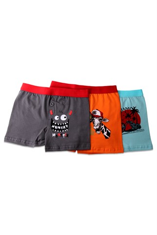 Erkek Çocuk Çok Renkli Boxer 3'lü Paket 