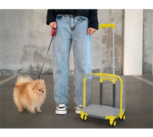 KEO COLORS SEFFAF PET VALIZ SARI AKSESUAR