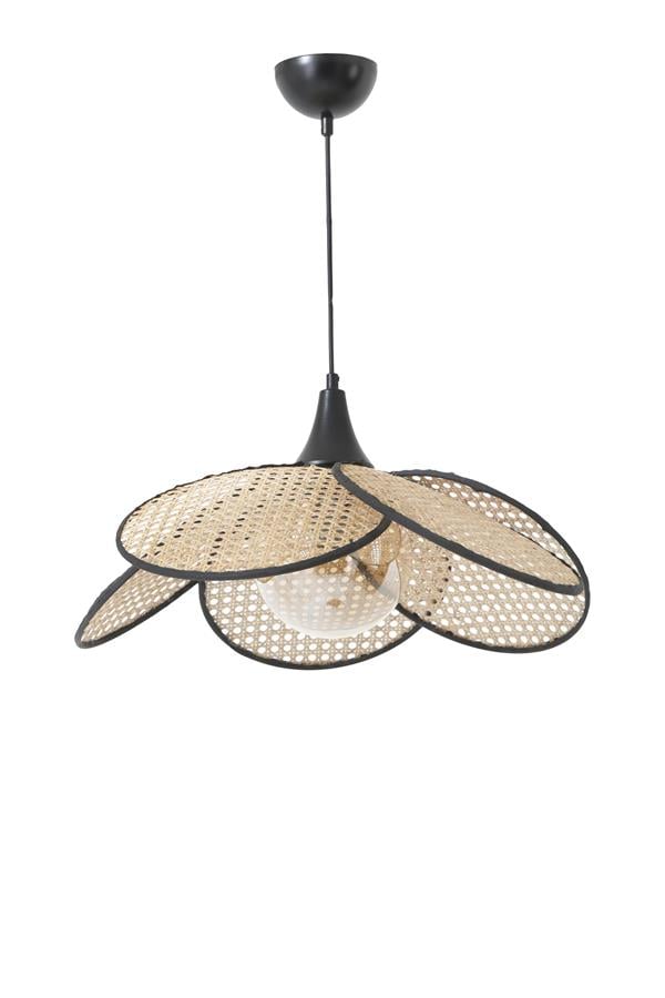 Lumexx Pervane Tekli Camlı Rattan Sarkıt