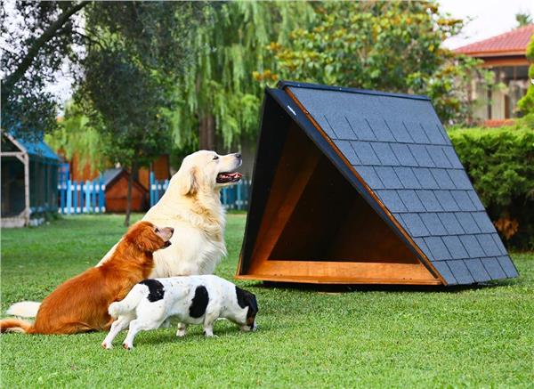Mandu Ahşap Köpek Kulübesi (A Frame)-Mnd224