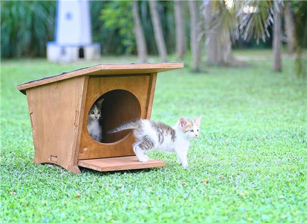 Mandu Ahşap Mini Kedi Evi (Yeni Doğan Evi)-Mnd215
