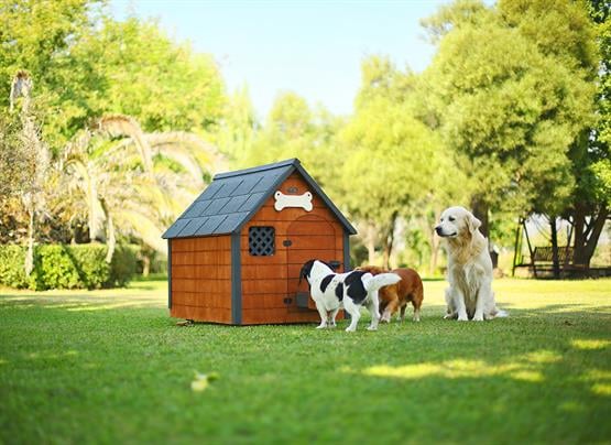 Mandu Isı Yalıtımlı Ahşap Köpek Kulübesi Large-Mnd56