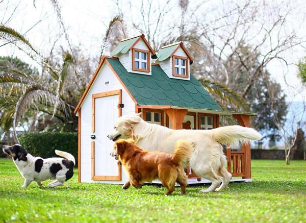 Mandu Ultra Lüks Ahşap Köpek Kulübesi - mnd100