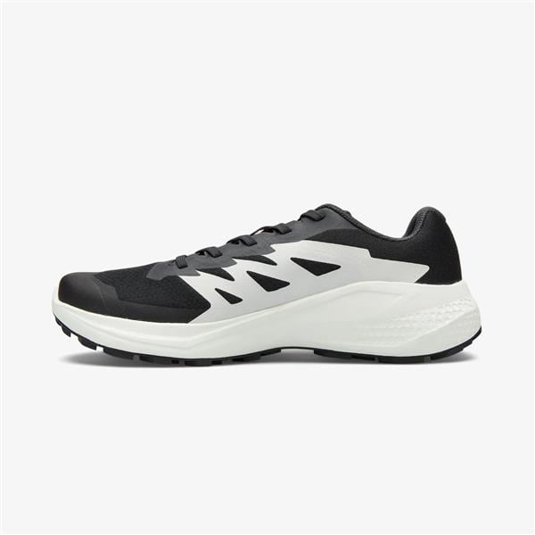 Salomon Alphaglıde 5895 Black-Phantom-Icıcle Erkek Patika Koşu Ayakkabısı
