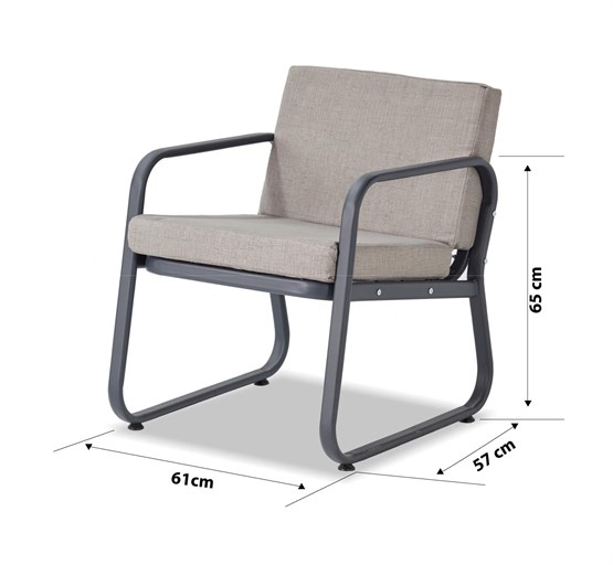 Erinöz Ferni Tekli Koltuk - Antrasit