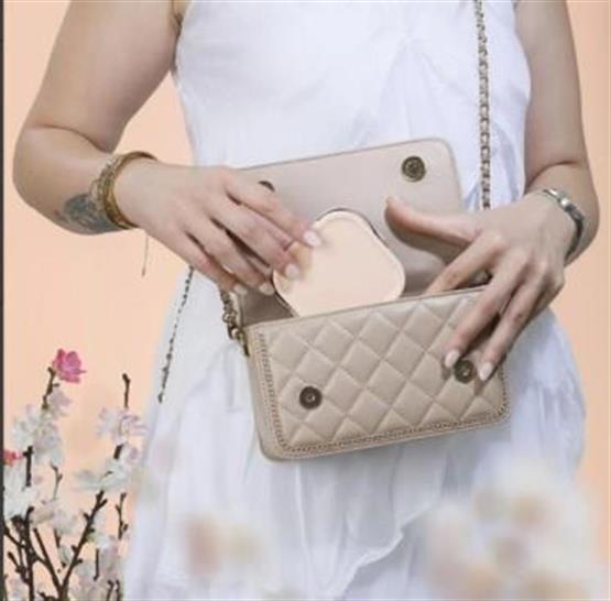 Kanguru Model Aynalı Makyaj Organizeri Makyaj ve Kozmetik Düzenleyici + Çanta Boy Organizer Hediyeli