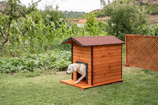 Alaçam Ahşap Köpek Kulübesi