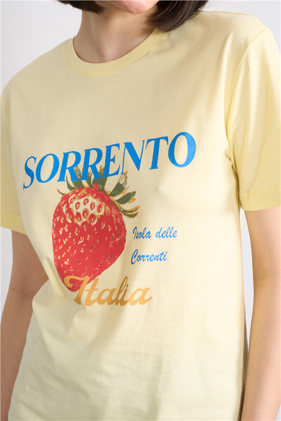 C.K Y26 8893 Fithit Kadın Bisiklet Yaka Regular Nakışlı T-shirt Uçuk Sarı