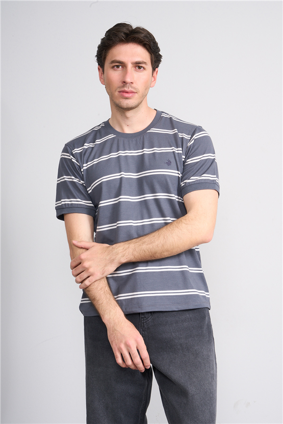 Çetinkaya Chester Polo 4720 Bisiklet Yaka Regular Ringel Süprem T-shirt Füme