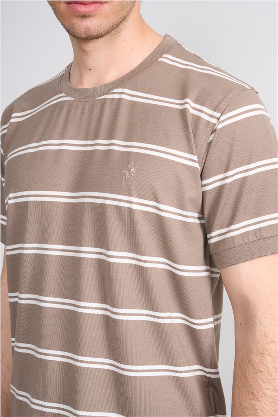 Çetinkaya Chester Polo 4720 Bisiklet Yaka Regular Ringel Süprem T-shirt Vizon