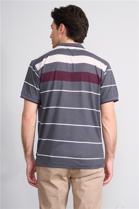 Çetinkaya Chester Polo 4739 Polo Yaka Regular Ringel Pike T-shirt Füme