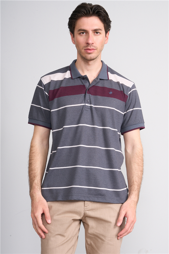 Çetinkaya Chester Polo 4739 Polo Yaka Regular Ringel Pike T-shirt Füme