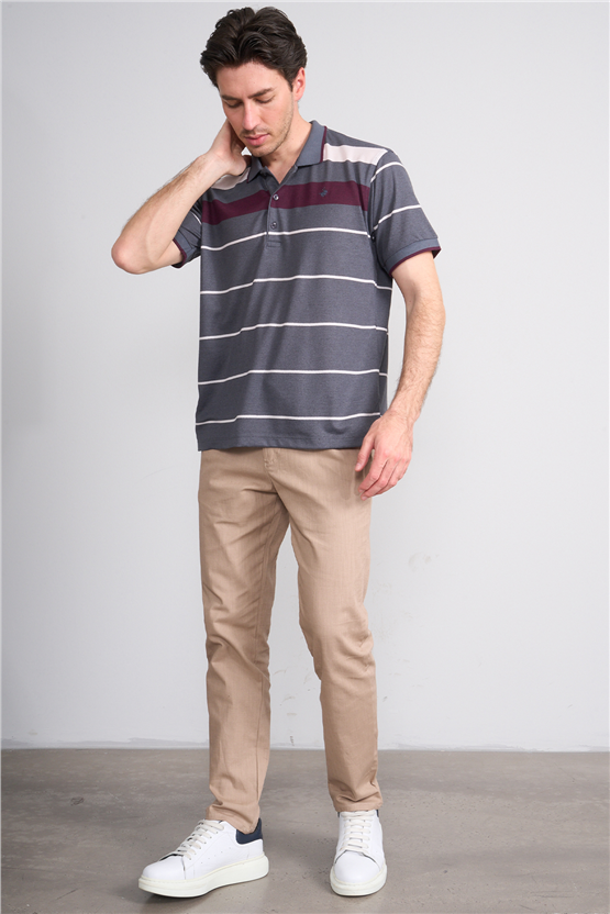 Çetinkaya Chester Polo 4739 Polo Yaka Regular Ringel Pike T-shirt Füme