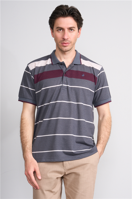 Çetinkaya Chester Polo 4739 Polo Yaka Regular Ringel Pike T-shirt Füme