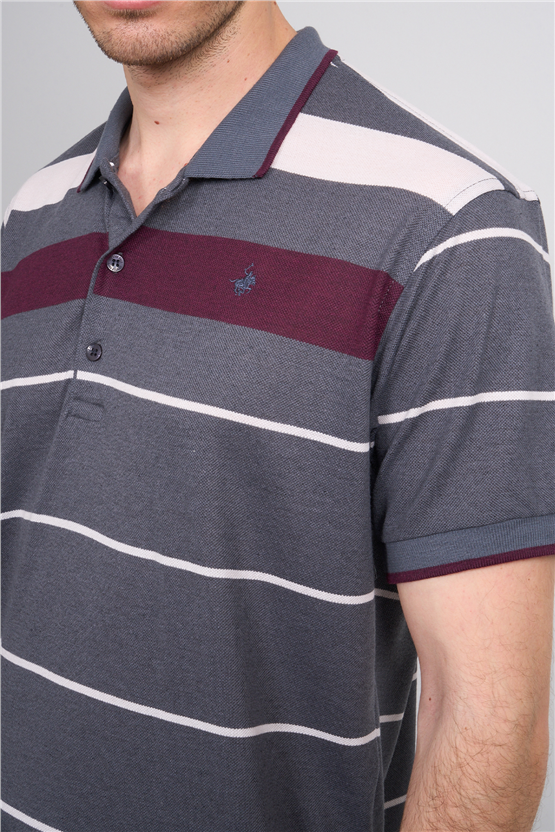 Çetinkaya Chester Polo 4739 Polo Yaka Regular Ringel Pike T-shirt Füme