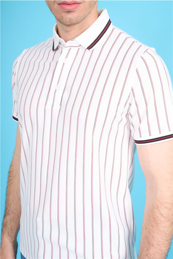 Çetinkaya Mentality 4564 Polo Yaka Regular Çizgili T-shirt Beyaz-Siyah