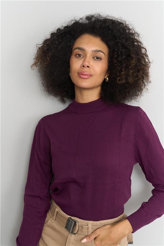 Çetinkaya MiyaMira 2254 Bayan Dik Yaka Mürdüm Triko