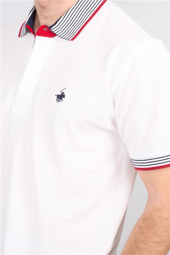 Chester Polo 3951 Erkek Polo Yaka Penye Pike T-shirt Beyaz