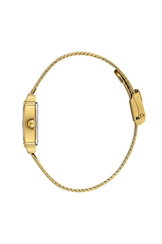 Daniel Klein Premium Kadın Kol Saati DKE.1.10970-2