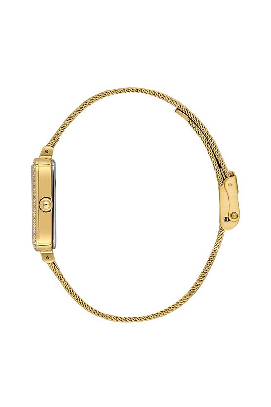 Daniel Klein Premium Kadın Kol Saati DKE.1.10969-3