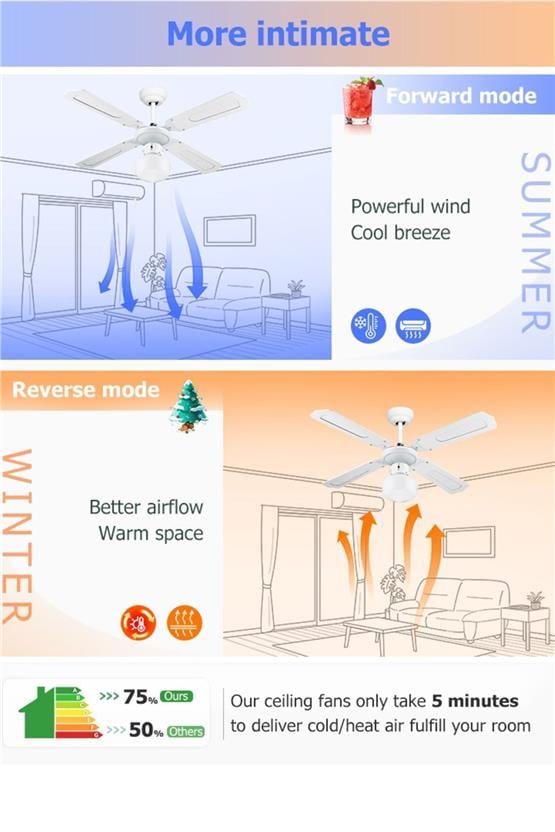 DLC Poyraz Tavan Vantilatörü Beyaz 107 Cm (DCF-W42001B)
