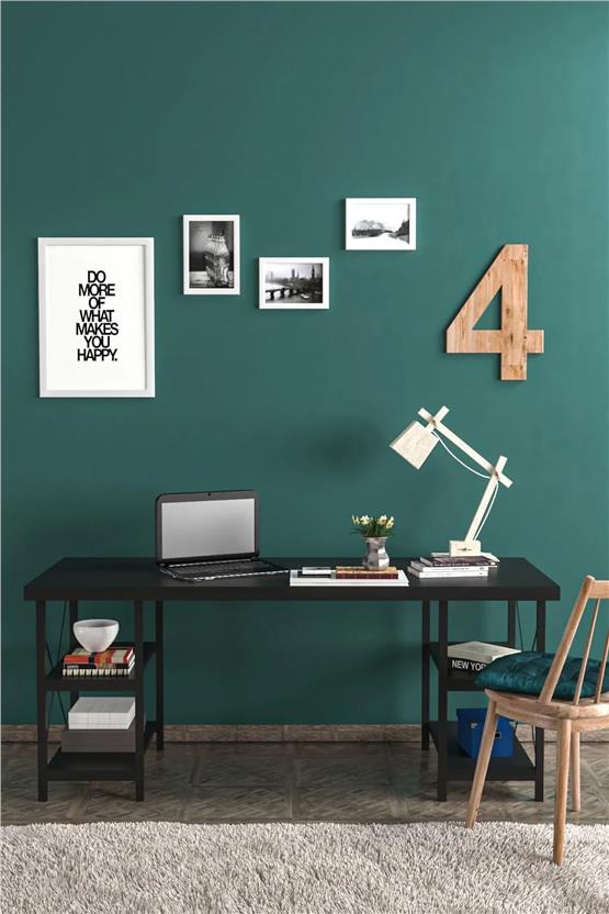 Evdemo Buket Lüx Çalışma Masası Çocuk Çalışma Masası Siyah