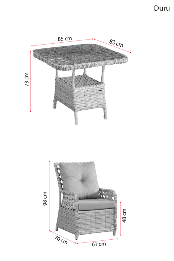 Evdemo Duru 2 Kişilik Rattan Bahçe Balkon Mutfak Masa Takımı Antrasit