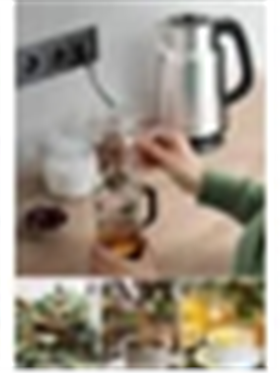 KIWI KETTLE CELIK KK 3334